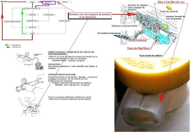 Circuit du LDR Y61.JPG